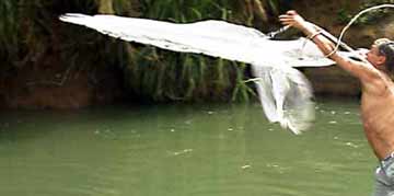 Bait Casting at Isla Damas UNESCO Mangrove Sanctuary